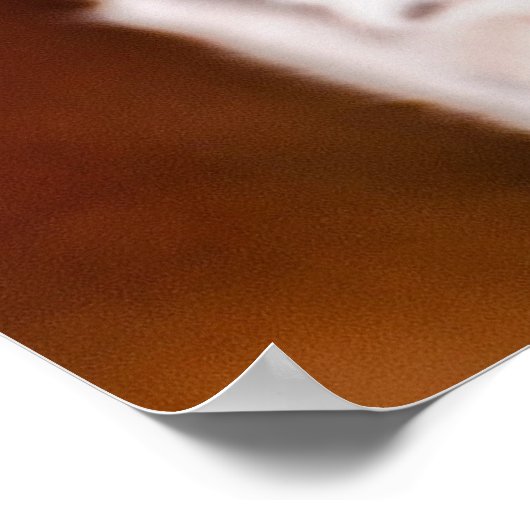 Affiche de nettoyage léopard (Coin)