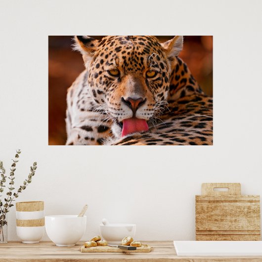 Affiche de nettoyage léopard (Cuisine)