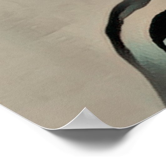 Affiche de Nikola Tesla (Coin)