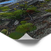 affiche de palmier (Coin)