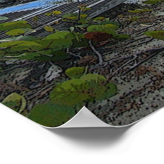 affiche de palmier (Coin)