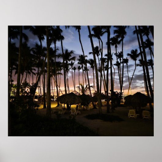 Affiche de palmiers et de coucher de soleil (Devant)