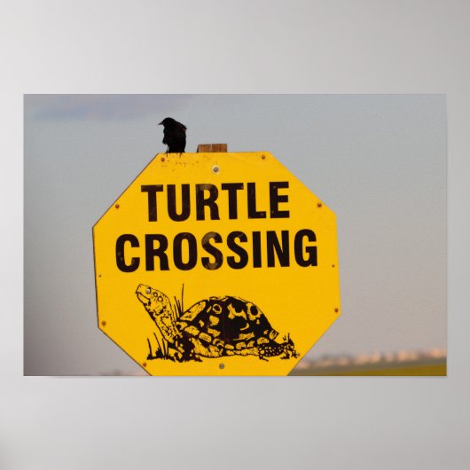 Affiche de panneau de signalisation de traversée d (Devant)