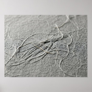 Affiche de papier à texture fibre emmêlée gris pâl