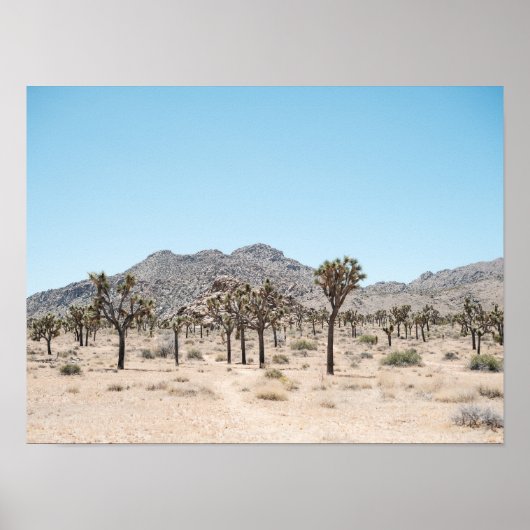 Affiche de papier du parc Joshua Tree (Semi-Brilla (Devant)