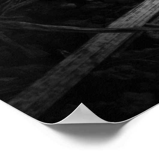 affiche de papillon bleu (Coin)