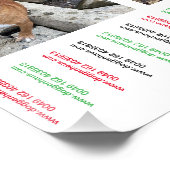 Affiche de parrainage de chiots (Coin)