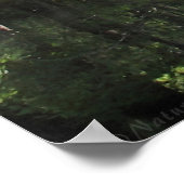 Affiche de partie Cypress River A -60x40 -ou plus  (Coin)