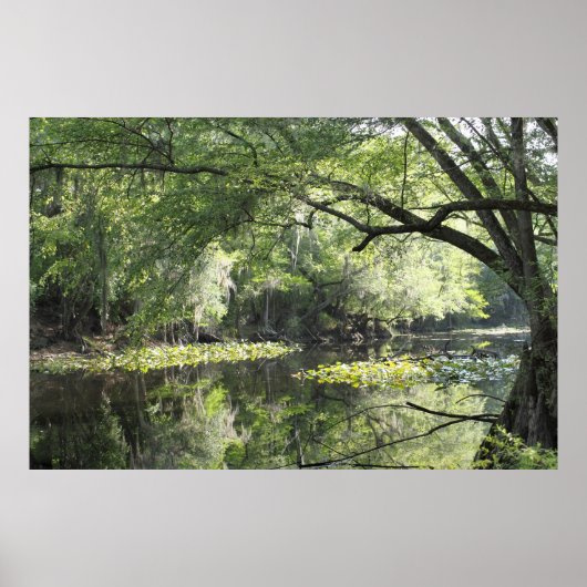 Affiche de partie Cypress River A -60x40 -ou plus  (Devant)