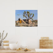 Affiche de passage de l'OVNI (Cuisine)