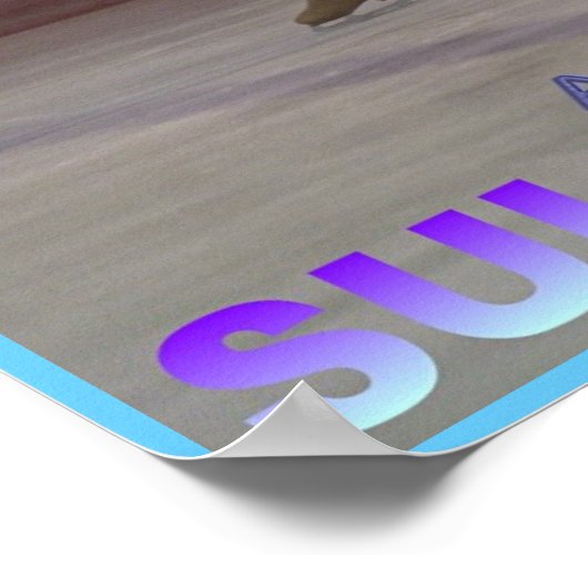 affiche de patinage sullivan (Coin)