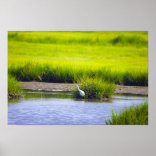 Affiche de paysage aquatique de héron