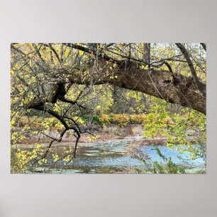 Affiche de paysage d'automne aquatique