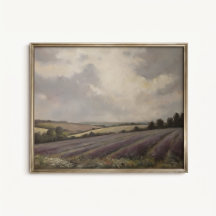 Affiche de paysage de champs de lavande anglaise