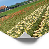 Affiche de paysage de moulin à vent et de tulipes (Coin)