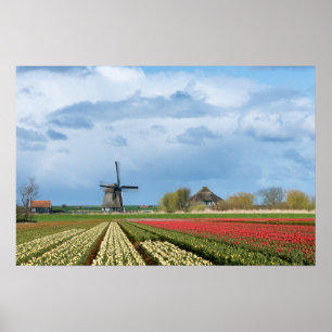Affiche de paysage de moulin à vent et de tulipes