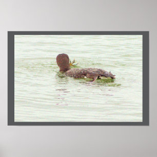 Affiche de pêche d'oiseau dans l'océan