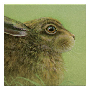 Affiche de peinture de beaux-arts de faune de