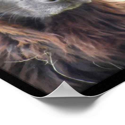 affiche de peinture de chien (Coin)