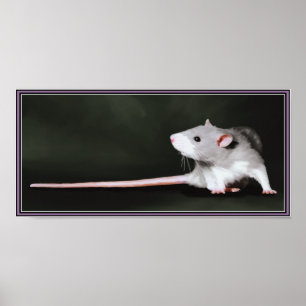 Affiche de peinture de rat mignon