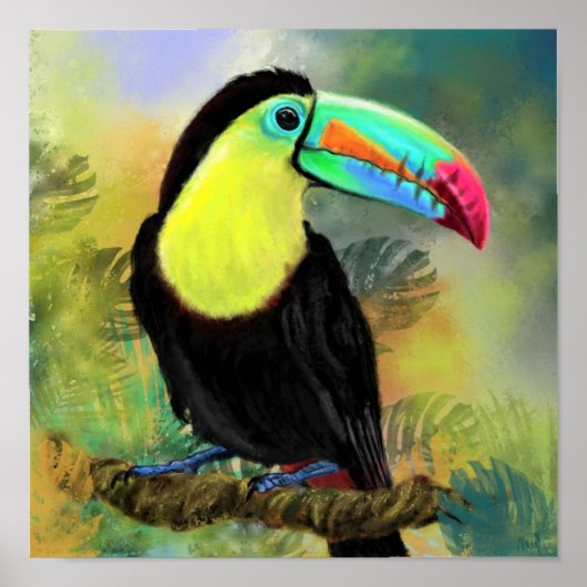 Affiche de peinture d'oiseau Toucan Toco (Devant)