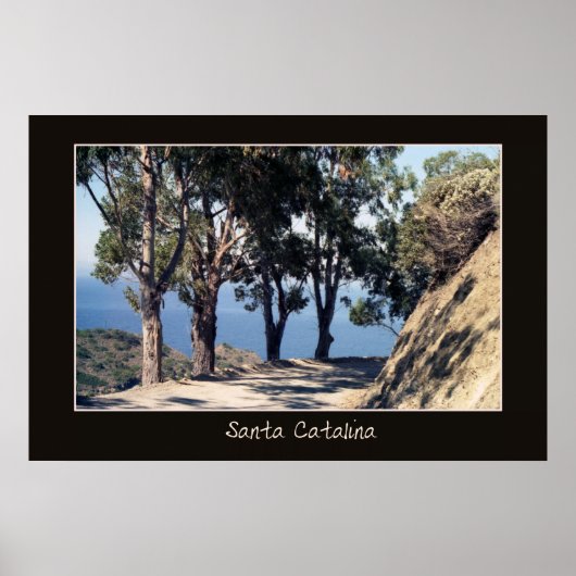 Affiche de Père Noël Catalina (Devant)
