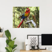 Affiche de perroquet Ara (Bureau à domicile)