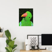 Affiche de perroquet joli (Bureau à domicile)