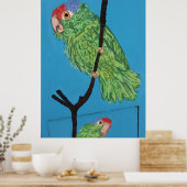 affiche de perroquet vert (Cuisine)