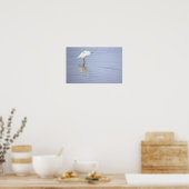 Affiche de photo d'aigrette (Cuisine)