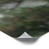 Affiche de photo d'Aigrette bleue (Coin)