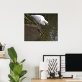Affiche de photo d'aigrette neigeuse (Bureau à domicile)