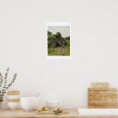 Affiche de photo d'arbre mutilé (Cuisine)
