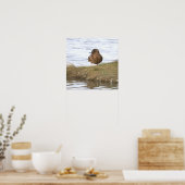 Affiche de photo de canard (Cuisine)