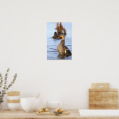 Affiche de photo de canard colvert (Cuisine)