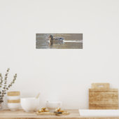 Affiche de photo de canard colvert (Cuisine)