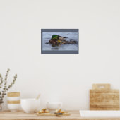 Affiche de photo de canard colvert (Cuisine)