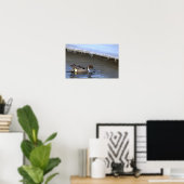 Affiche de photo de canard pilet (Bureau à domicile)