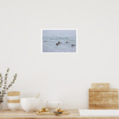 Affiche de photo de canards (Cuisine)