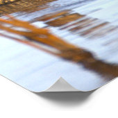 Affiche de photo de canards colverts (Coin)