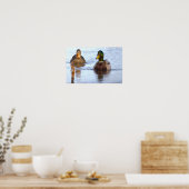 Affiche de photo de canards colverts (Cuisine)