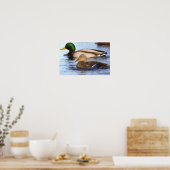 Affiche de photo de canards colverts (Cuisine)