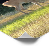 Affiche de photo de cerf (Coin)