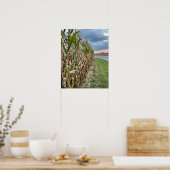 Affiche de photo de champ de maïs  (Cuisine)