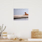 Affiche de photo de chien (Cuisine)