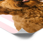 Affiche de photo de chien personnalisée | Nom de l (Coin)