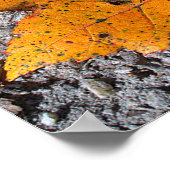 Affiche de photo de feuille jaune-orange (Coin)