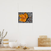 Affiche de photo de feuille jaune-orange (Cuisine)