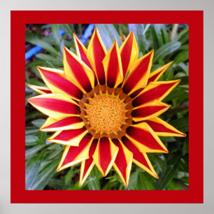 Affiche de photo de fleurs rouges et jaunes coloré