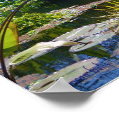 Affiche de photo de jardin d'eau (Coin)